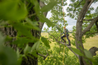 Stromolezení & arboristika