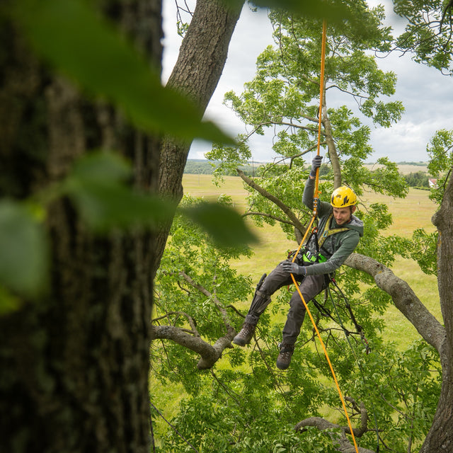 Arboristické lano Timber EVO 11.0 žlutá/oranžová