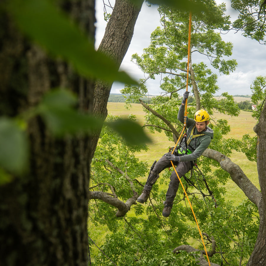 Arboristické lano Timber EVO 11.0 žlutá/oranžová
